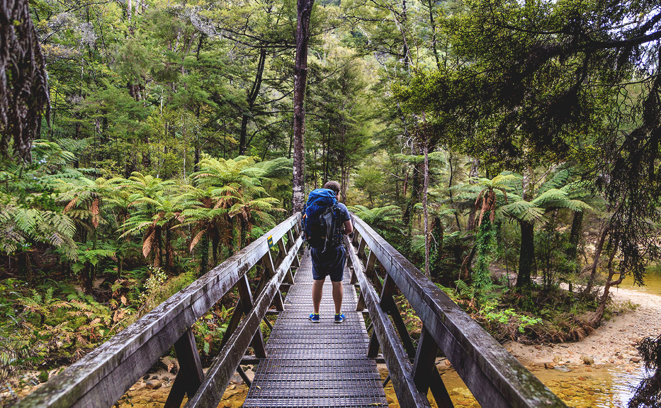 Walkers on the Abel Tasman Coast Track, featured in this hiking in New Zealand guide, with golden beaches and native forest surrounding the trail