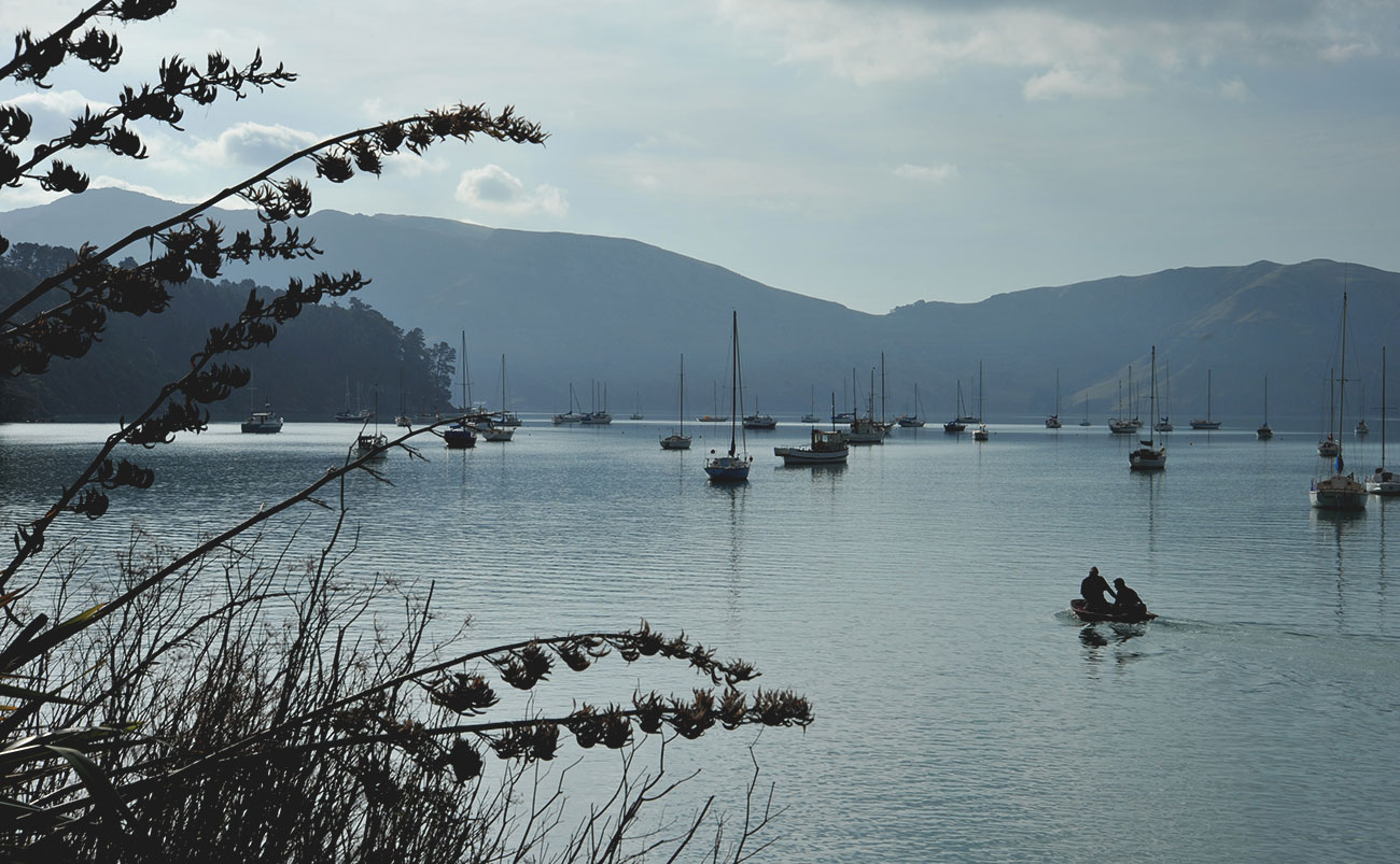 Akaroa Harbour on Banks Peninsula, one of the most popular day trips from Christchurch