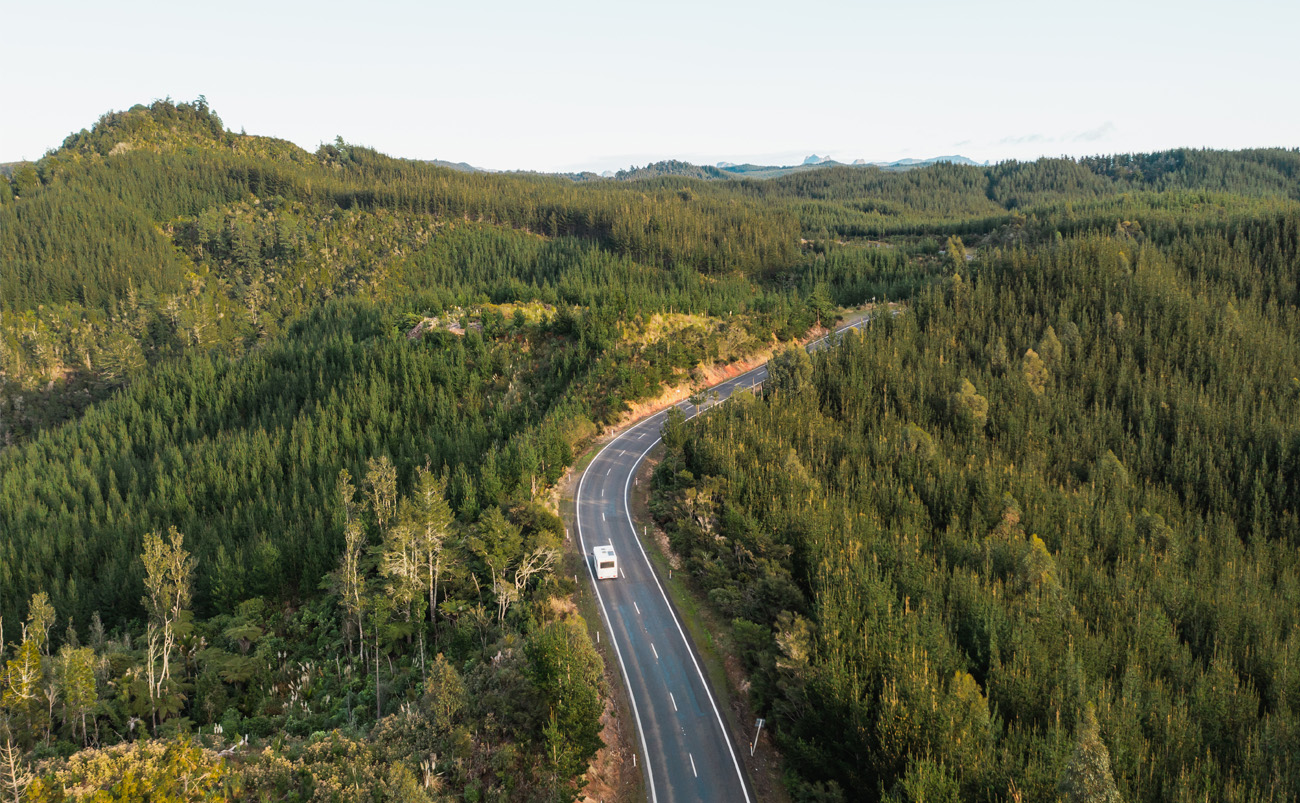 Motorhome travelling along a scenic road through native forest during a New Zealand road trip