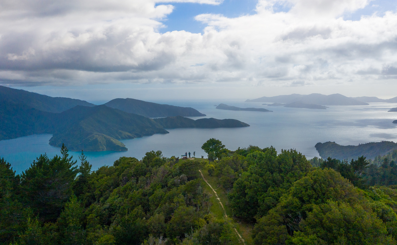 Hiker on the Queen Charlotte Track overlooking the Marlborough Sounds in New Zealand